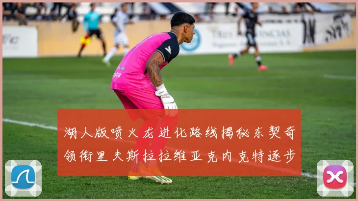 湖人版喷火龙进化路线揭秘东契奇领衔里夫斯拉拉维亚克内克特逐步崛起
