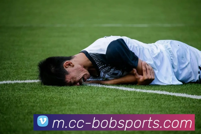 BOB体育平台生态图