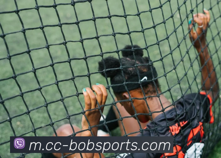 BOB体育APP 封面图